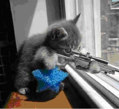 /TakeV/spacemacs/media/commit/2007ce3f1a4d4bda3652323a2ab94baad9fbbde8/layers/+vim/evil-snipe/img/Cat_With_Rifle.jpg
